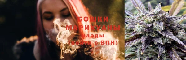 дживик Арсеньев