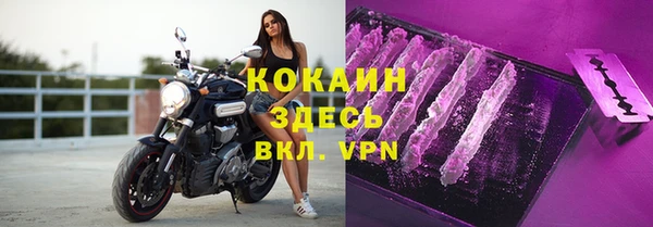 дживик Арсеньев