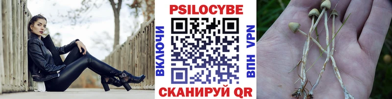 Галлюциногенные грибы Psilocybine cubensis  Купить  Солнечногорск 